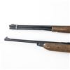 Image 3 : 4x Air Rifles
