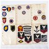 Image 10 : WWII US Veteran Patch Album Collection (394)