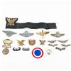 Image 1 : WWII & Later US Coast Guard, USAF Wings Pin Lot