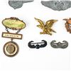 Image 5 : WWII & Later US Coast Guard, USAF Wings Pin Lot