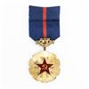 Image 1 : Czech Order of Victorious February Medal-Numbered