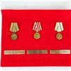 Image 8 : WWII Soviet Russian Medal Display & Plaque Lot
