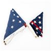 Image 12 : US Military Flag and Uniform Lot