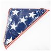 Image 15 : US Military Flag and Uniform Lot