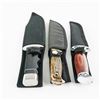 Image 17 : 3 Assorted Hunting Knives