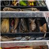 Image 6 : Loaded Tackle Box