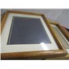 Image 2 : 2 - PICTURE FRAMES (16" X 12")