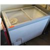 Image 1 : True TFM-41FL Horizontal Freezer w/ Glass Flat Lid (contents not included)