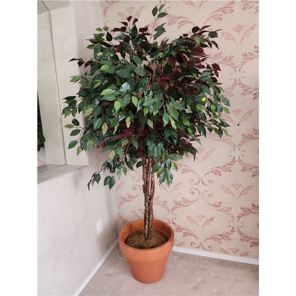 Silk Ficus Tree