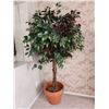 Image 1 : Silk Ficus Tree