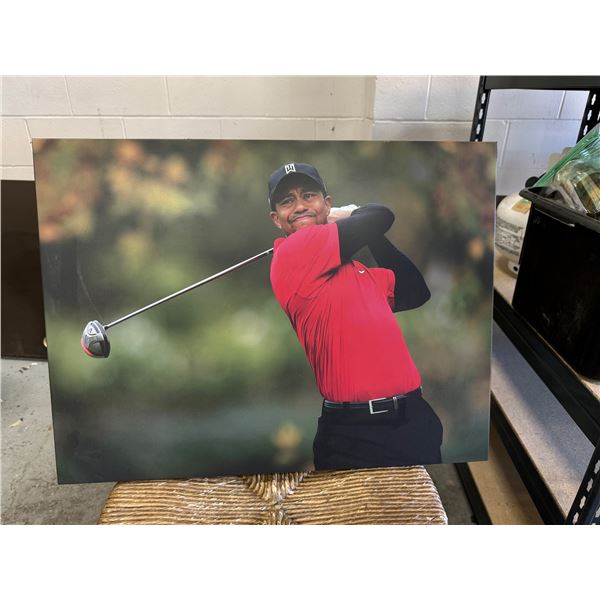 Tiger woods wall hanging 24x18