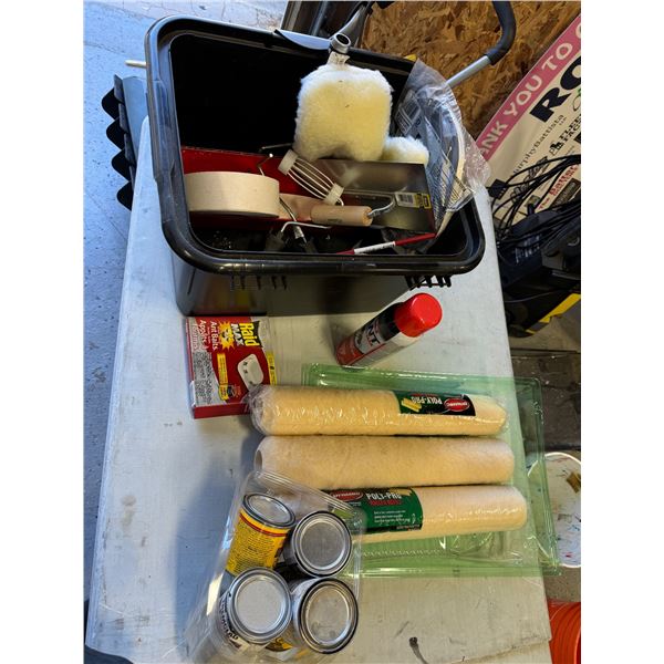 Painting, supplies, and bug sprays, etc.