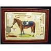 Image 1 : Framed picture of equestrian equipment, frame is fiberglass, frame is 32.5 x 44. (700)