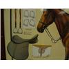 Image 4 : Framed picture of equestrian equipment, frame is fiberglass, frame is 32.5 x 44. (700)