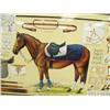 Image 7 : Framed picture of equestrian equipment, frame is fiberglass, frame is 32.5 x 44. (700)