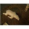 Image 2 : Circa 1960 ivory hunter  (2") with a polar bear (3") mounted on a whale disk (3)
