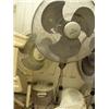 Image 3 : lot of fans and humidifier (241)