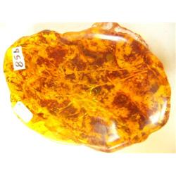 Choice on two 5.5" Amber specimen (3)