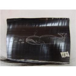 Slice of baleen with fishes  signed by Robert Crumley (2)