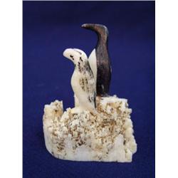 Ivory cormorant by Thomas Pushruk