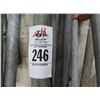 Image 2 : 11-Large Wood Clamps - 11 X $