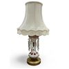 Image 1 : Vintage Cranberry & White Glass Bohemian Luster Lamp With Silk Shade