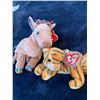 Image 2 : Ty Baby Garfield, Hi-5, Tabs, Reefs, Indian & Horse