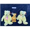Image 1 : Two Ty Sherbert Bears & Fern