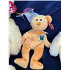 Image 2 : Two Ty Sherbert Bears & Fern