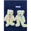 Image 3 : Two Ty Sherbert Bears & Fern