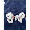 Image 2 : Pair of Rescue Dalmations, Teenie Beanie Spangle the Bear, Benjamin, Hat-Trick Hunter & Two Aurora B