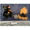Image 1 : Ty Haunt, Yapper & Ziggy
