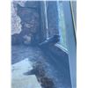 Image 2 : Images of the Wild Robert Bateman Framed Print