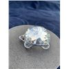 Image 6 : Swarovski Turtle & Rhino