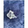 Image 5 : Swarovski South Sea Conch Shell, Starfish & Sea Top Shell