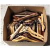 Image 1 : OVER 50 WOODEN HANGERS