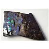 Image 1 : 29)  NATURAL GREEN/PURPLE FIRE AMMOLITE GEMSTONE.