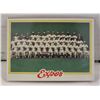 Image 1 : 1978 TOPPS MONTREAL EXPOS
