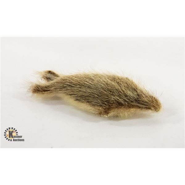 INUIT SEAL TOY - SEAL SKIN