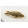 Image 1 : INUIT SEAL TOY - SEAL SKIN