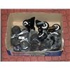 Image 1 : LOT OF COASTER WHEELS