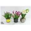 Image 1 : NEW FAUX POTTED PLANTS