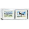 2 FRAMED VINTAGE AIRPLANE WALL HANGINGS