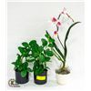 BUNDLE OF FAUX POTTED PLANTS