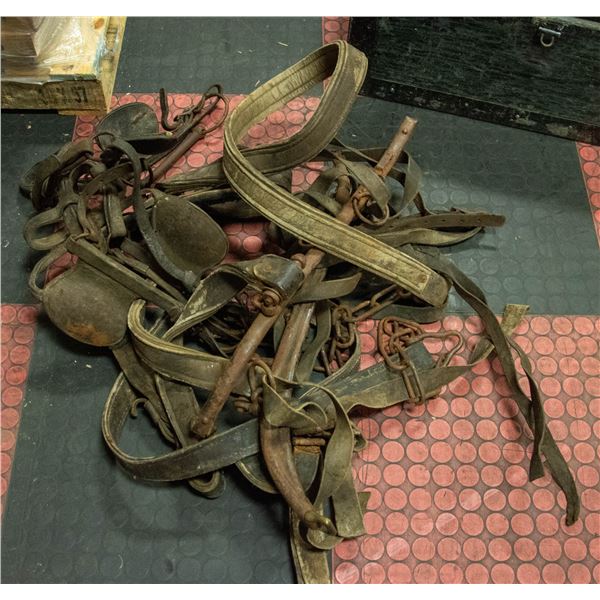 OLD HORSE HARNESS