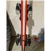 Image 5 : Rossignol Viper Downhill Slalom Skis - Junior