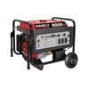 Image 1 : CASE 9000 WATT GAS GENERATOR
