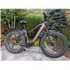 Image 1 : 2022 iGO Electric Core Extreme 3.0 eBike