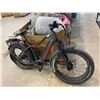 Image 2 : 2022 iGO Electric Core Extreme 3.0 eBike