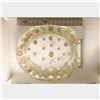 Image 1 : LUCITE COIN TOILET SEAT WITH SILVER COINS: